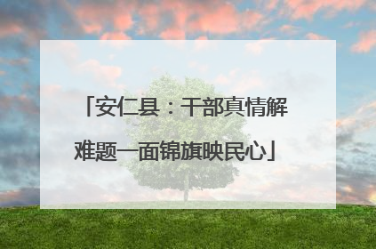 安仁县：干部真情解难题一面锦旗映民心